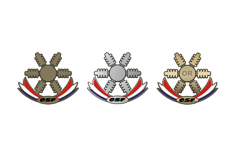 Vieux Pin's SKI CLUB ATHLETIQUE BERTHELOT - Années 50 - Badge Sport D'Hiver Collection