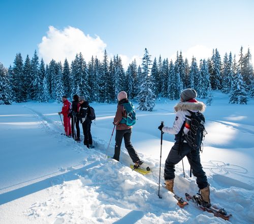 Guide Snowshoeing Basics Beginners Snowshoes Snowshoeing Annecy
